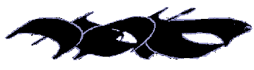 Woid: a journal of visual language